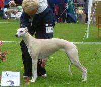 /album/svch-konopiste-30-7-2011/ronja-v2-r-cac-jpg/